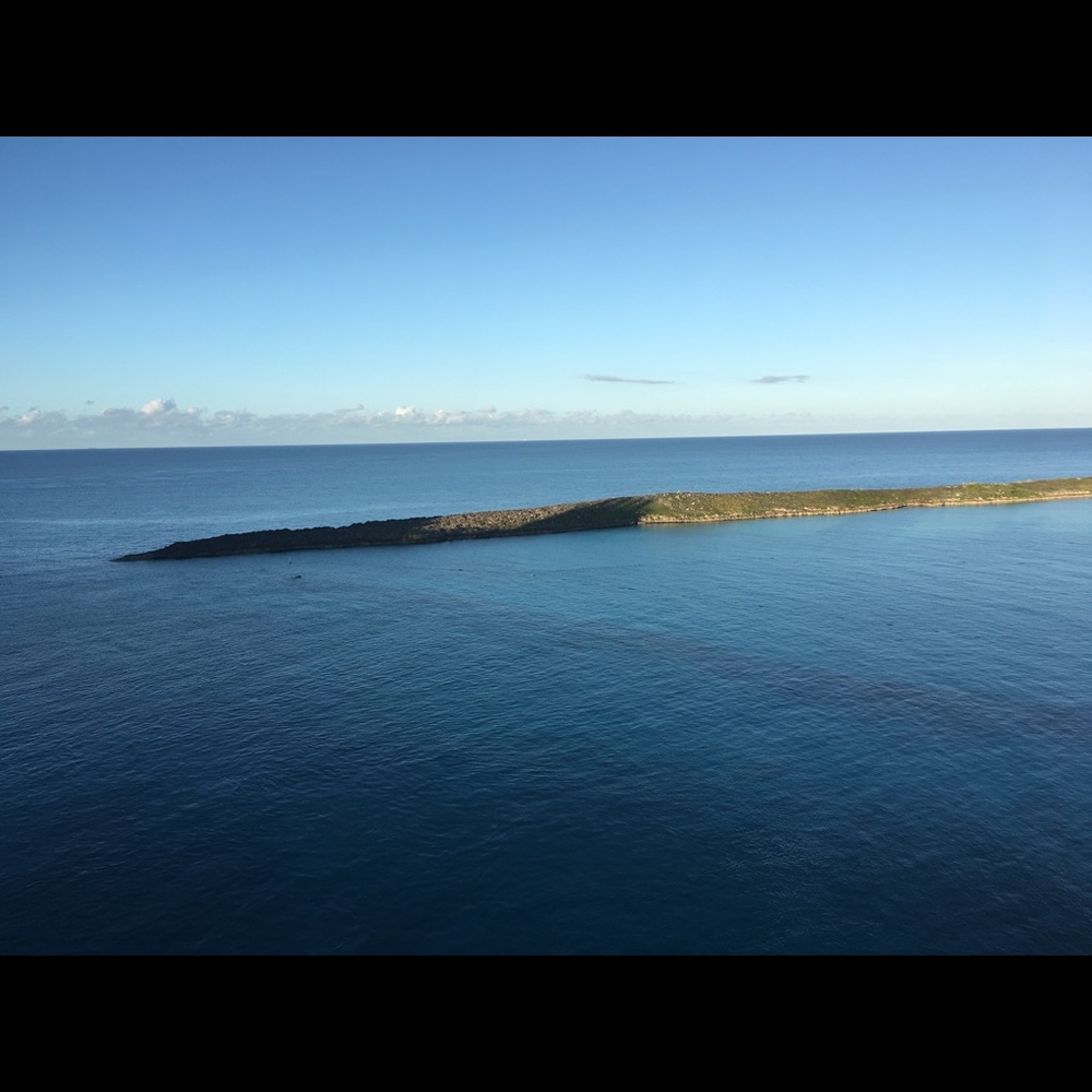 Meet your Posher, Carla